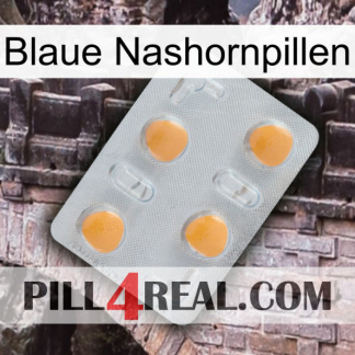 Blue Rhino Pills 24